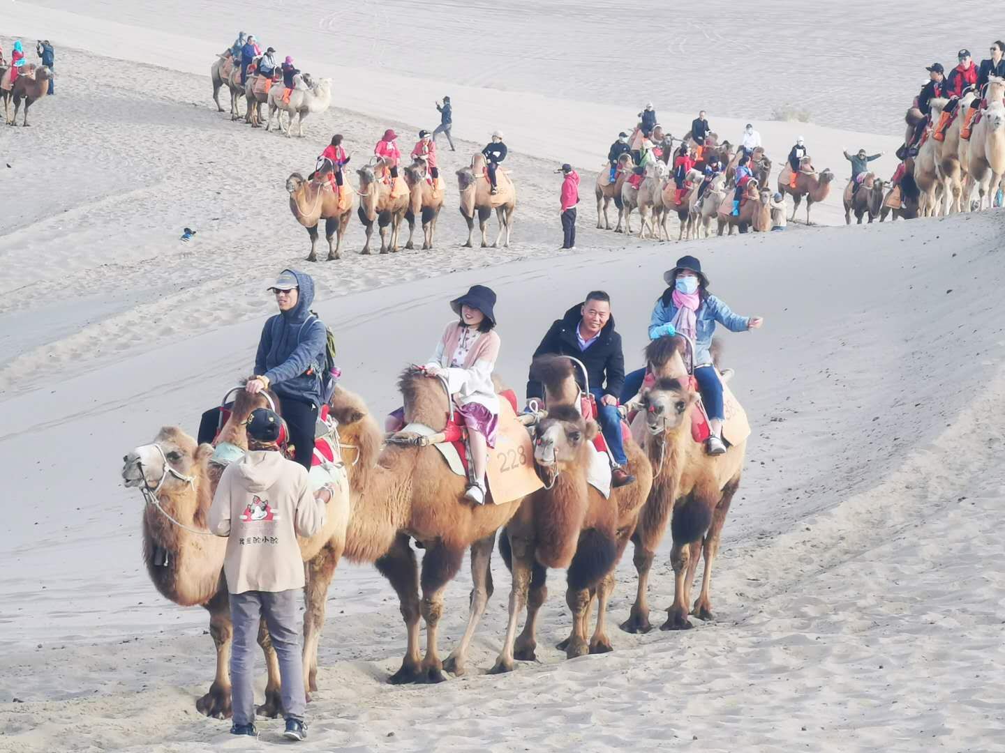 CA88(�й���)Ψһ�ٷ���վ