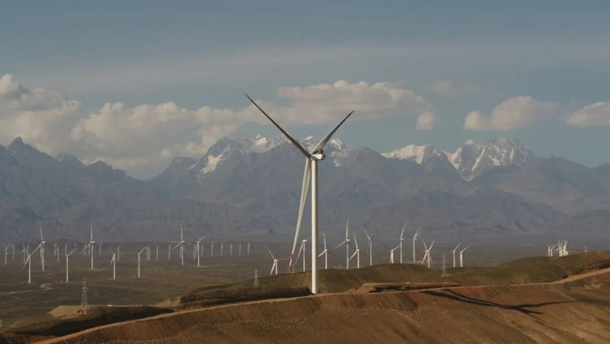 CA88(中国游)唯一官方网站